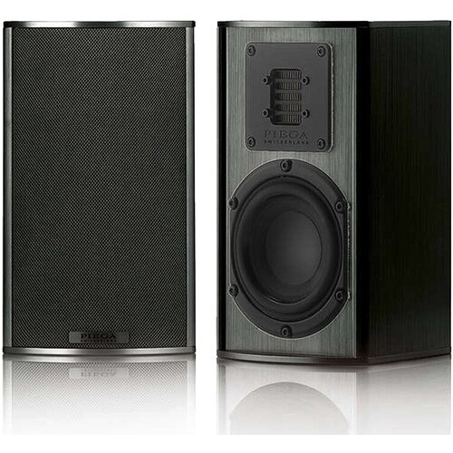 Полочная акустика Piega TMicro 40 AMT black aluminum 6600000₽