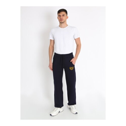 Своя линия Брюки, большие размеры, свободные, брюки мужские повседневные, спортивные, штаны хлопковые (р. 52)