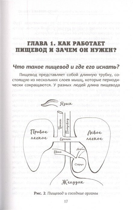 Гастро-книга. Пищеварение вдоль и поперек - фото №13