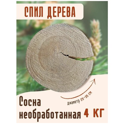 Спил, срез сосны диаметр 20-35, толщина 8-15 см, вес около 4 кг, деревянные заготовки
