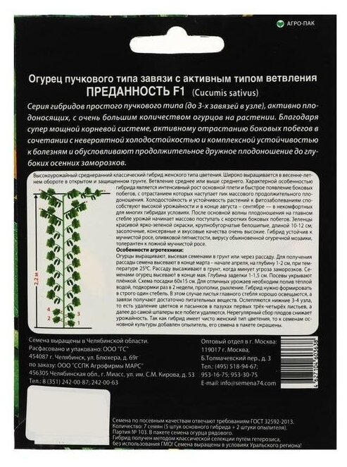 Семена Огурец "Преданность" F1 пучкового типа завязи, партенокарпический, 7 шт