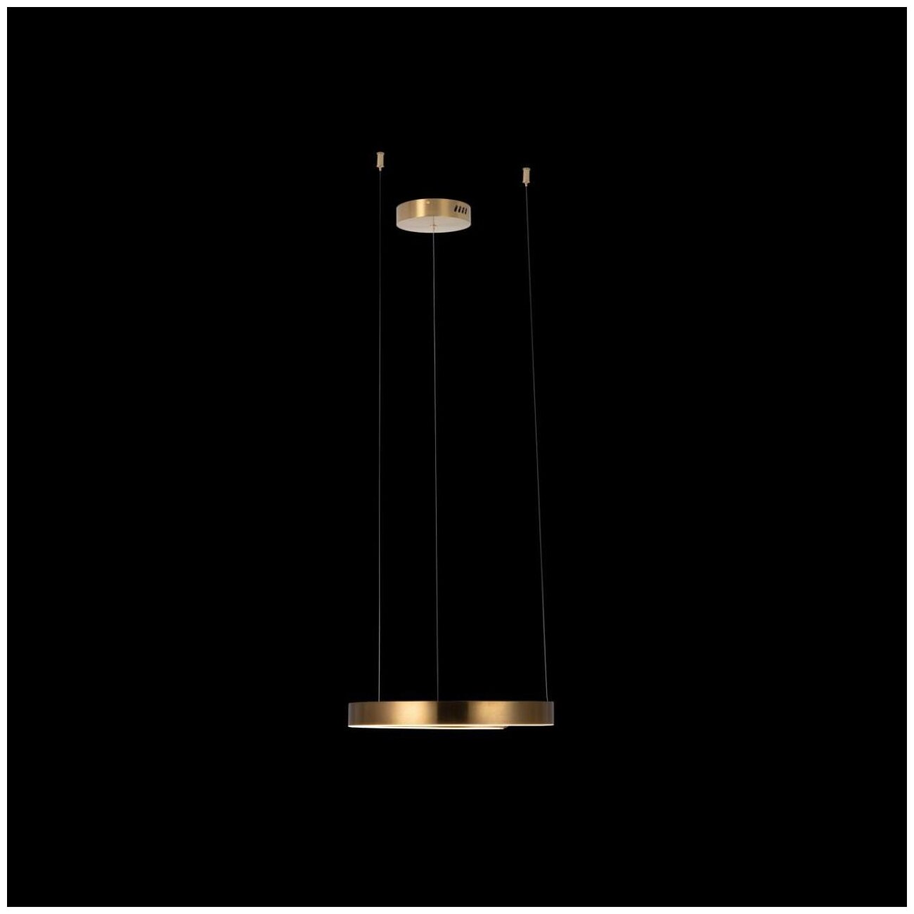 Светильник подвесной светодиодный Loft It Ring 10013S - фото №3
