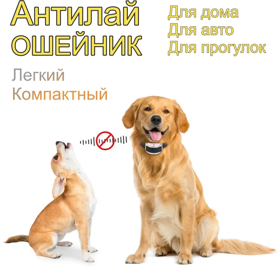 Ошейник для собак / Ошейник от лая и воя PD258 - фотография № 1