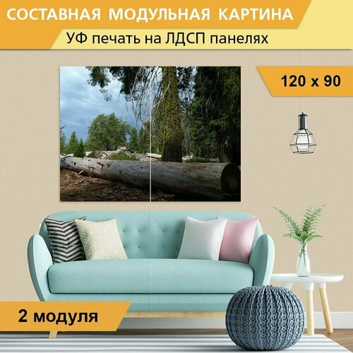 Модульная картина 