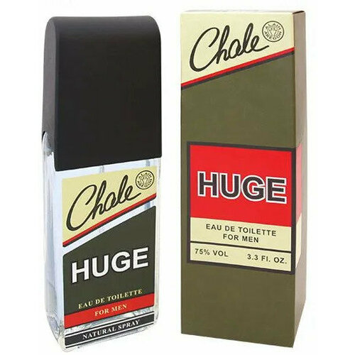 Духи Positive Parfum Chale HUGE edt100ml (9)