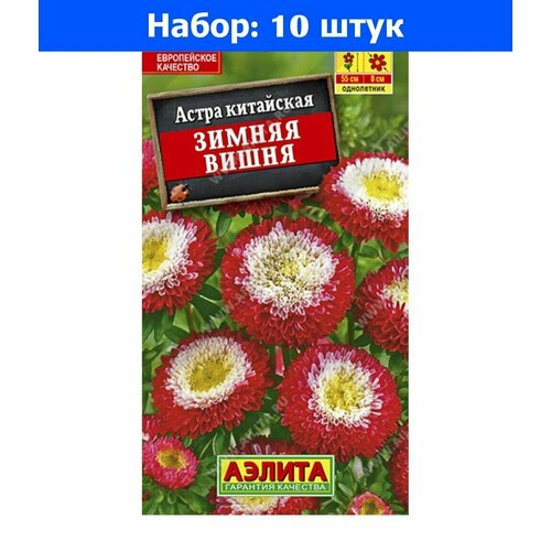 Астра Зимняя вишня помпонная 0.2г Одн 55см (Аэлита) - 10 пачек семян