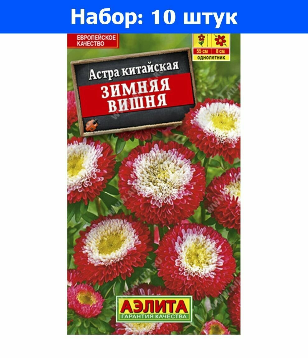 Астра Зимняя вишня помпонная 0.2г Одн 55см (Аэлита) - 10 пачек семян