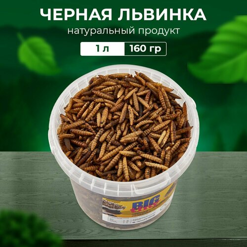 Корм Big Tiny, для крыс, хомяков и черепах водных и сухопутных, 160г, черная львинка