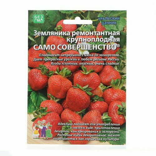 Семена Земляника Само совершенство, 10 шт уральский дачник семена земляника само совершенство 10 шт