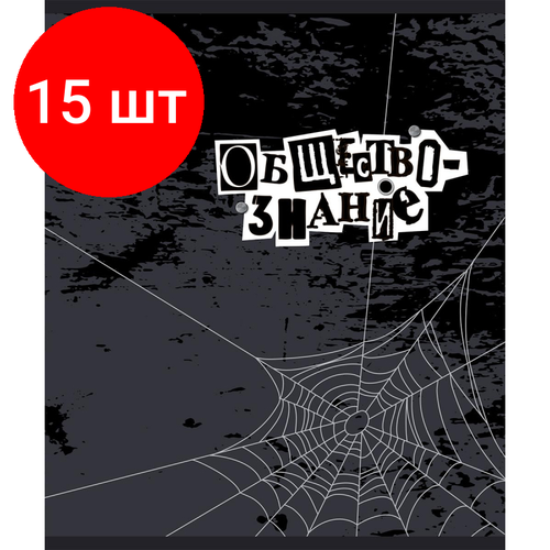 Комплект 15 штук, Тетрадь предметная 48л А5 клетка УФ-лак, №1 School -Панк- обществознание тетрадь предметная 48л artspace калейдоскоп обществознание