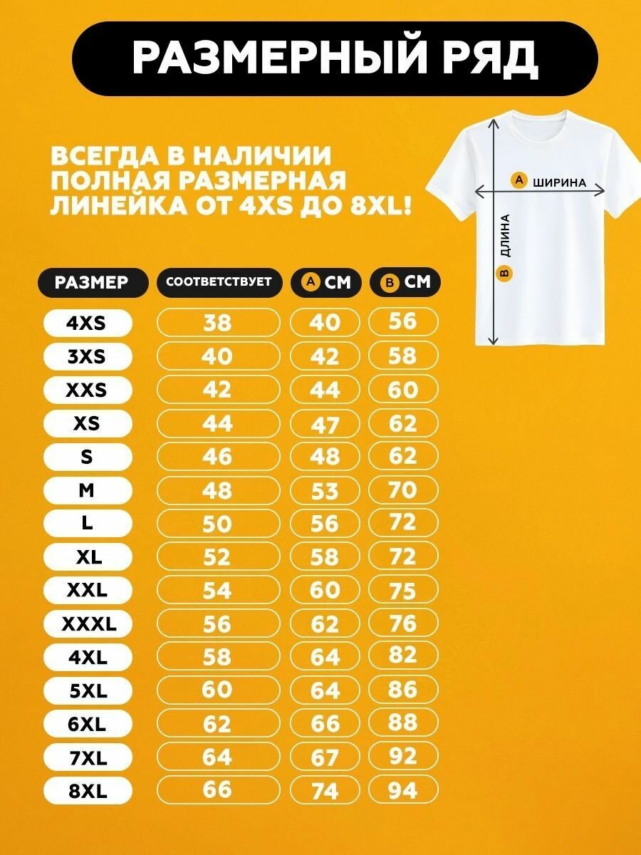 Футболка The north face антибренд