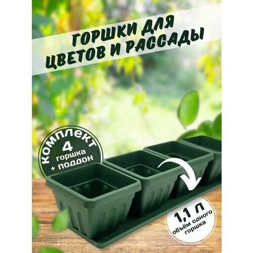 фото Квартет ирис поддон + 4 горшочка зеленый нет бренда