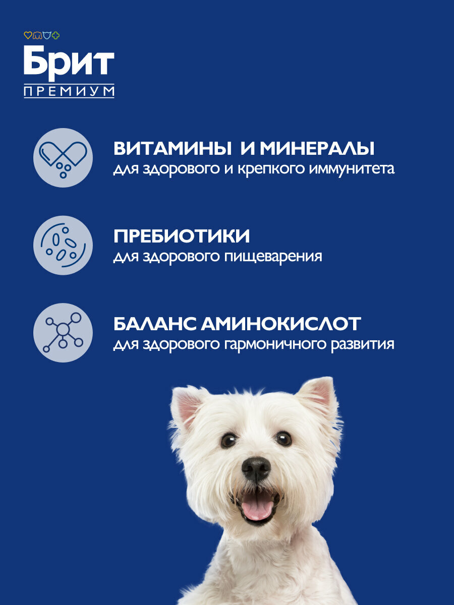 Сухой корм для щенков мелких пород с курицей "Dog Puppy and Junior Small", 1кг BRIT PREMIUM — фото 1