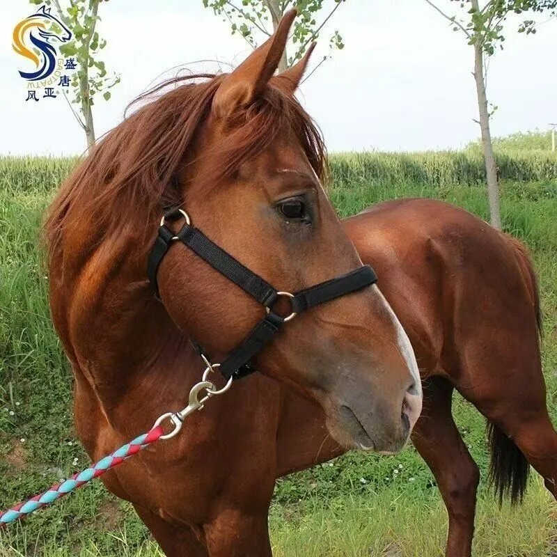 Недоуздок для жеребят и телят, из капроновой ленты, двойной, усиленный