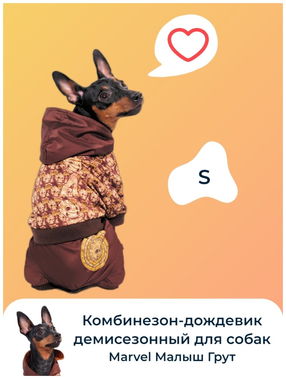 Комбинезон-дождевик для собак Triol Disney Marvel Малыш Грут, демисезонный, размер S, 25 см - фотография № 4