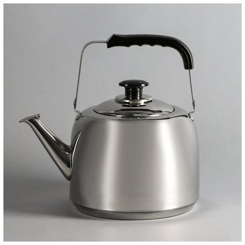 Чайник 5 л нержавеющая сталь 3613₽