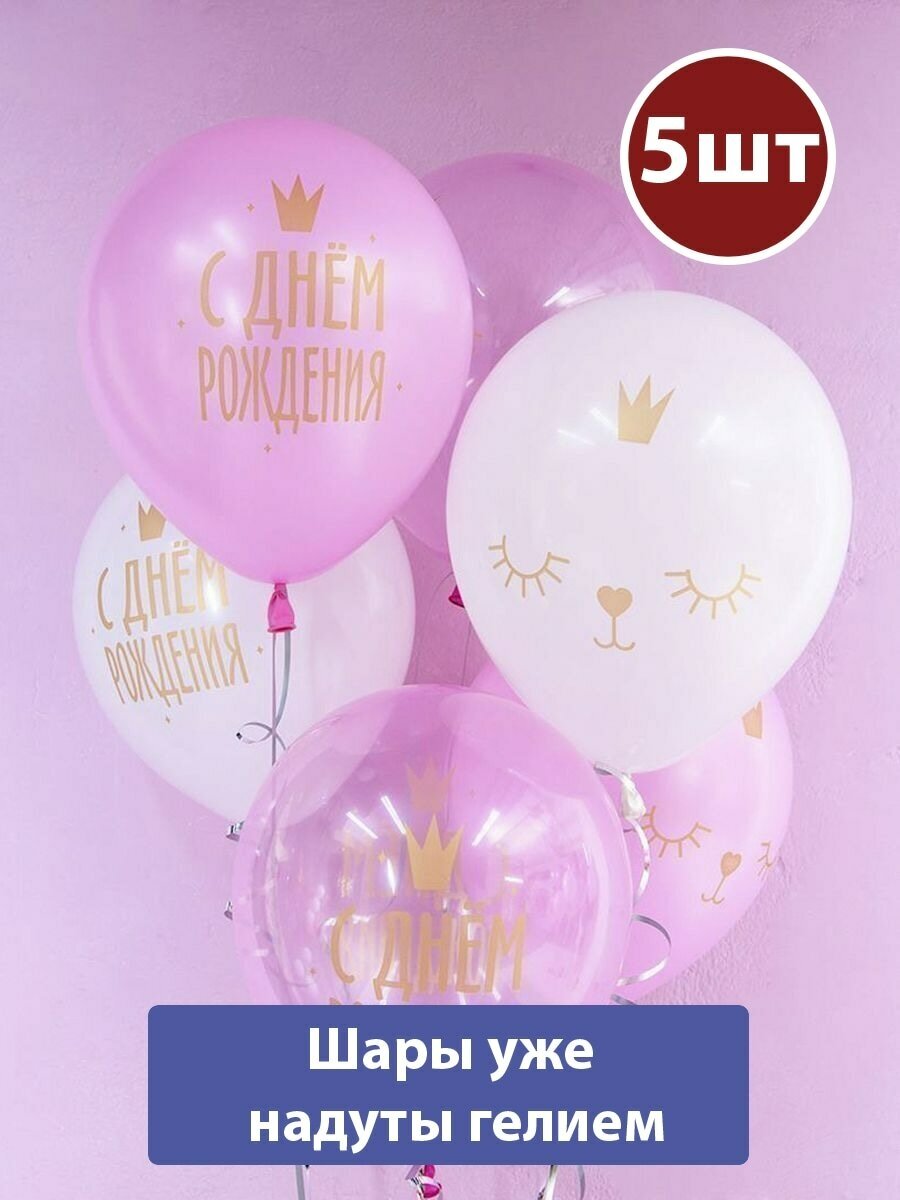 Воздушные шары с гелием Котенок принцесса с Днем Рождения 5шт
