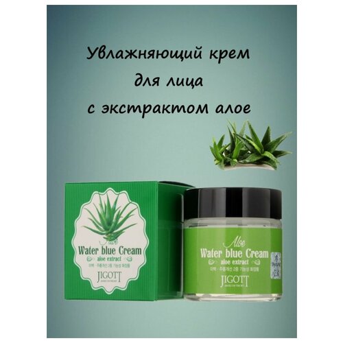 Увлажняющий крем для лица с экстрактом алоэ Aloe Water Blue Cream / Корея / 70 мл