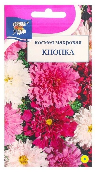 Семена цветов Космея махровая Кнопка 005 г.