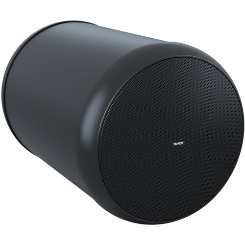 Громкоговоритель потолочный Tannoy OCV 6 4340100₽