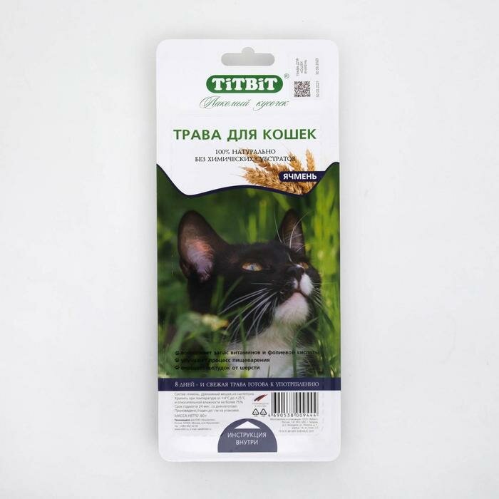 Трава TiTBiT для кошек, ячмень, 50 г - фотография № 2