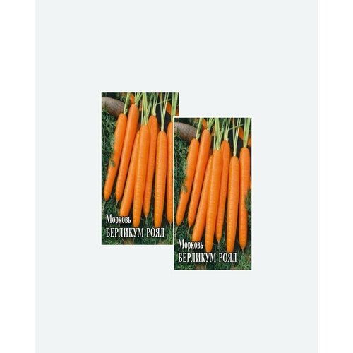 Семена Морковь Берликум Роял, 25г, Гавриш, Фермерское подворье(2 упаковки) гавриш морковь берликум роял 2 грамма