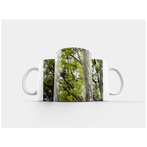 фото Кружка "птица, дерево, сидеть" 320 мл lotsprints