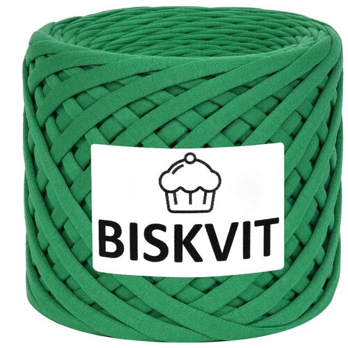 Трикотажная пряжа Biskvit Грин, 100 м