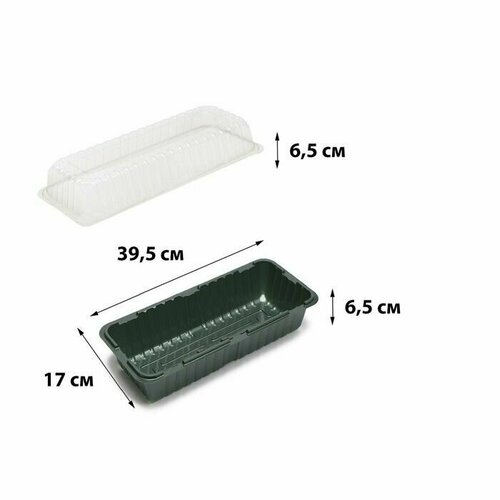 Мини-парник для рассады 395 17 13 см без вставок тёмно-зелёный 5 шт 1000₽