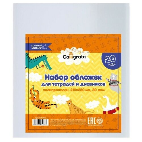 Набор обложек ПП 20 штук, 210 х 350 мм, 30 мкм, для тетрадей и дневников (в мягкой обложке)