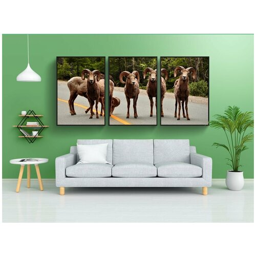 фото Набор модулных постеров для интерьера "овец, рога, животное" 60x90 см. в тубусе, без рамки lotsprints