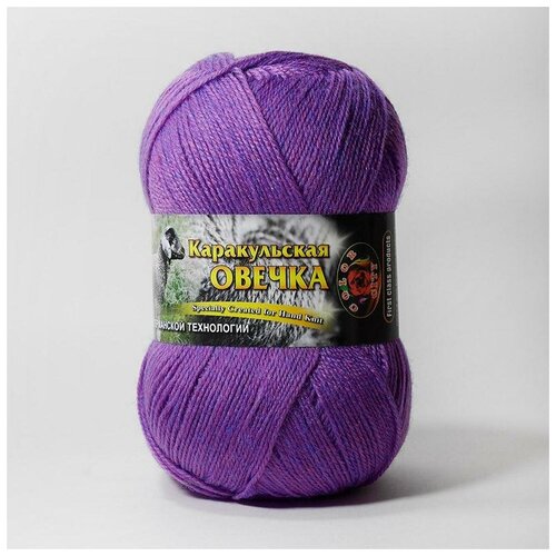 Пряжа Color City Каракульская овечка 2939 лиловый меланж 60% высококачественная шерсть ягненка, 40% кашемир 100г 400м 5 шт