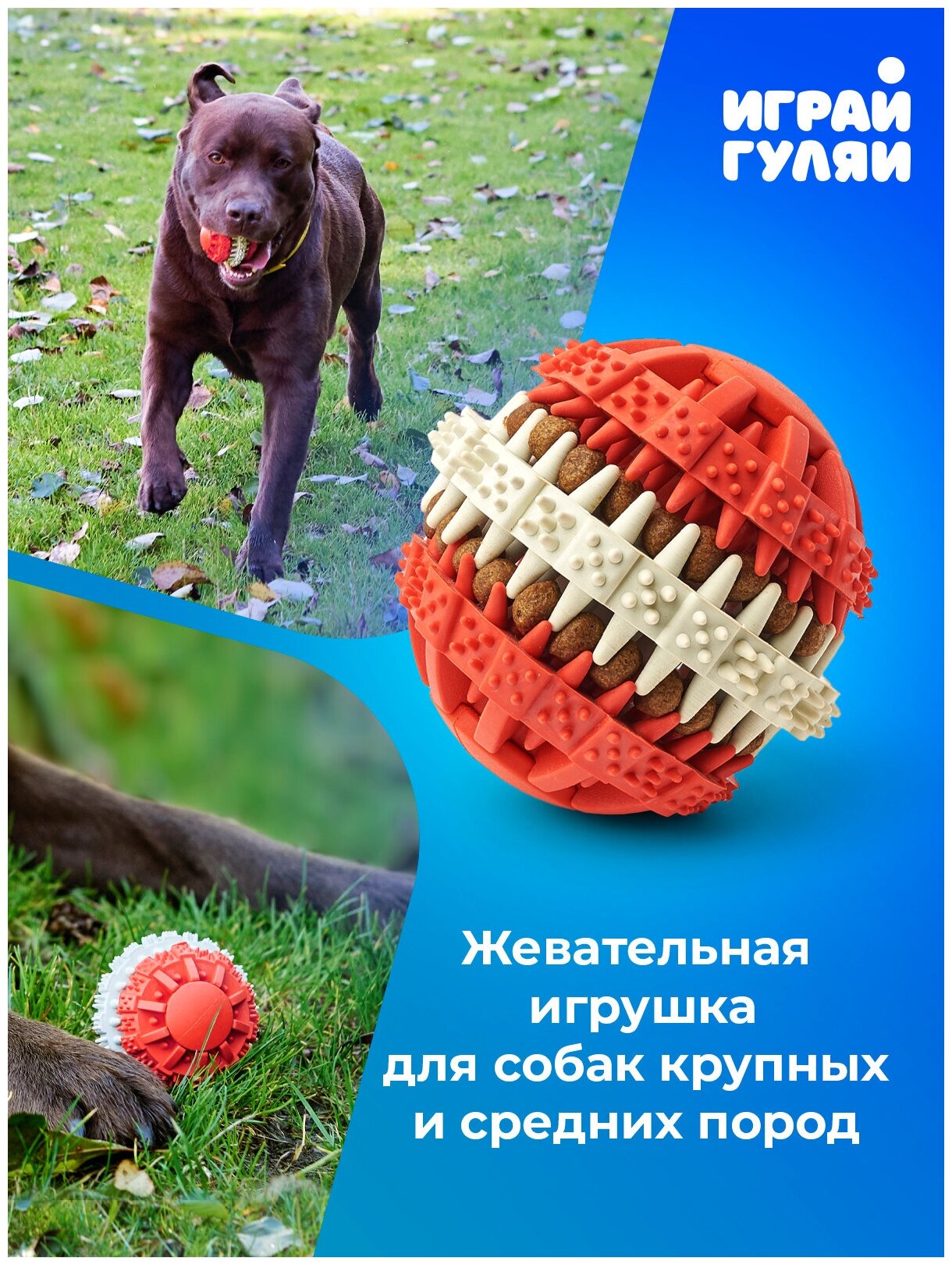 Игрушка мяч для собак резиновый неубиваемый, "Чистые Клыки", "Играй Гуляй", цвет: белый + красный, диаметр 7,5 см - фотография № 7