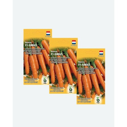 Семена Морковь Навал F1, 150шт, Гавриш, Ведущие мировые производители, Bejo(3 упаковки)