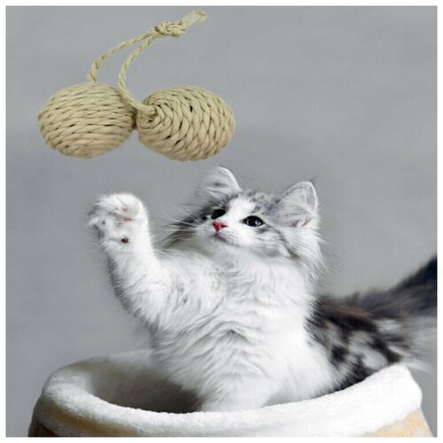 Два Мячика на веревке для кошек сизаль 15см trixie когтеточка для кошек сизаль 35см 15см