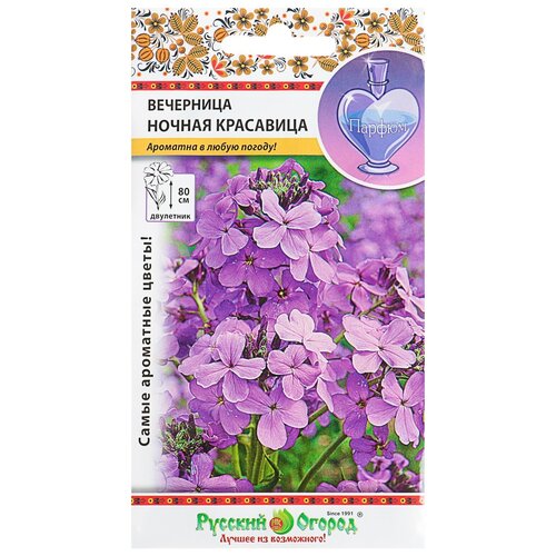 Семена цветов Вечерница 