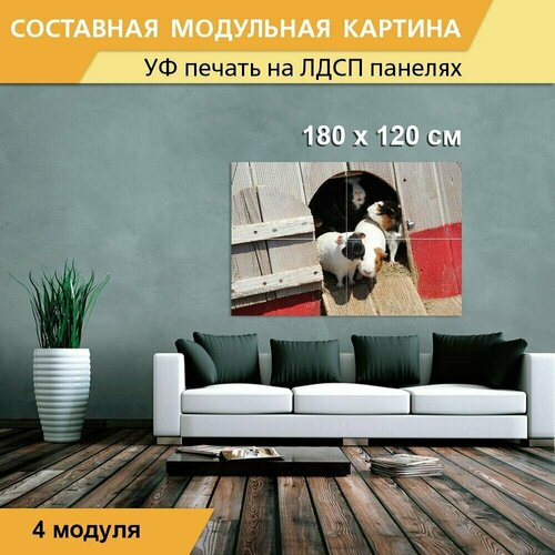 Модульная картина 