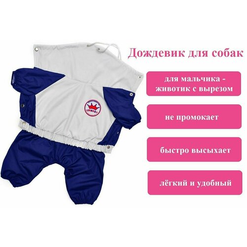 Дождевик для мини собак Limargy, мальчик, S/M, спина 24 см, грудь 32 см