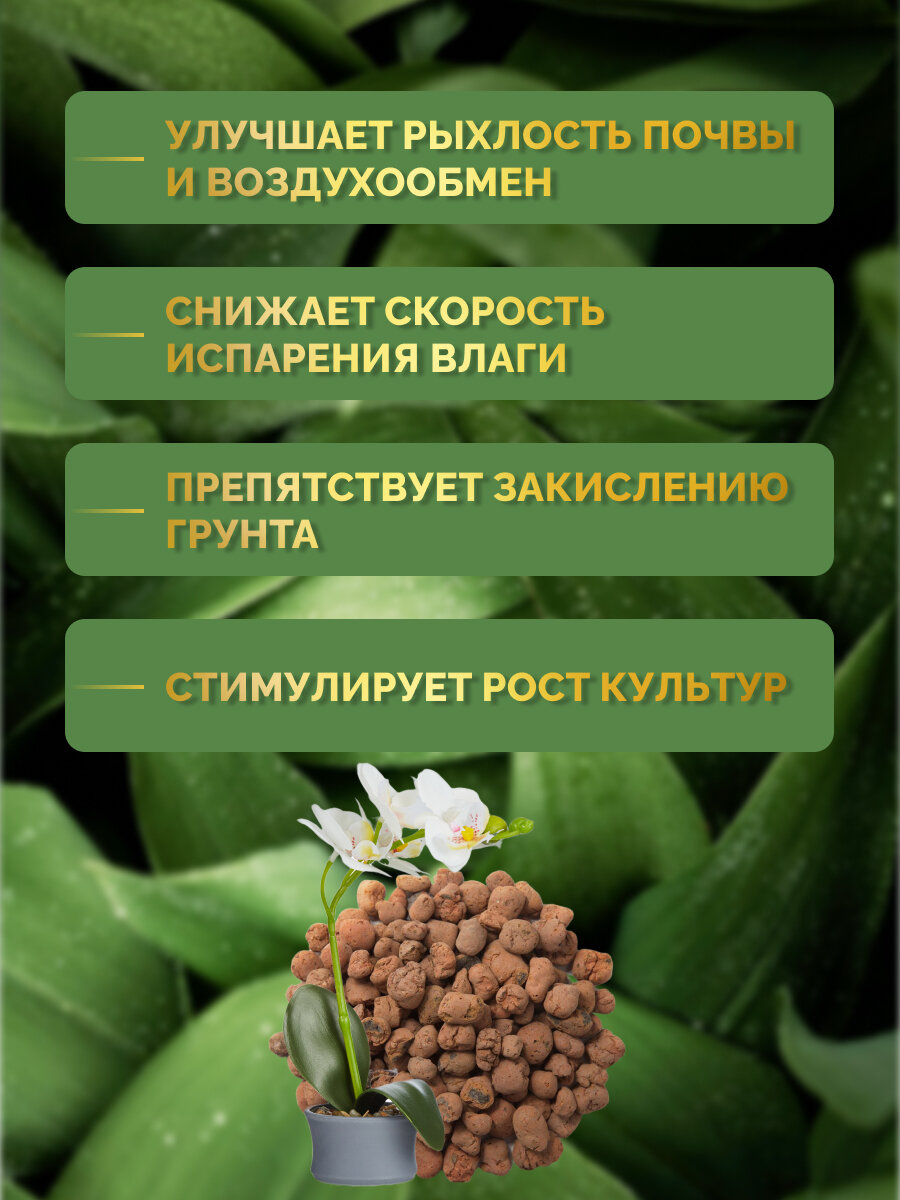 Керамзит 2 л фр. 10-20 мм дренаж для цветов GoldGard — фото 1