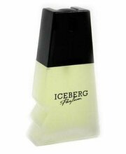 Iceberg parfum туалетная вода 100мл