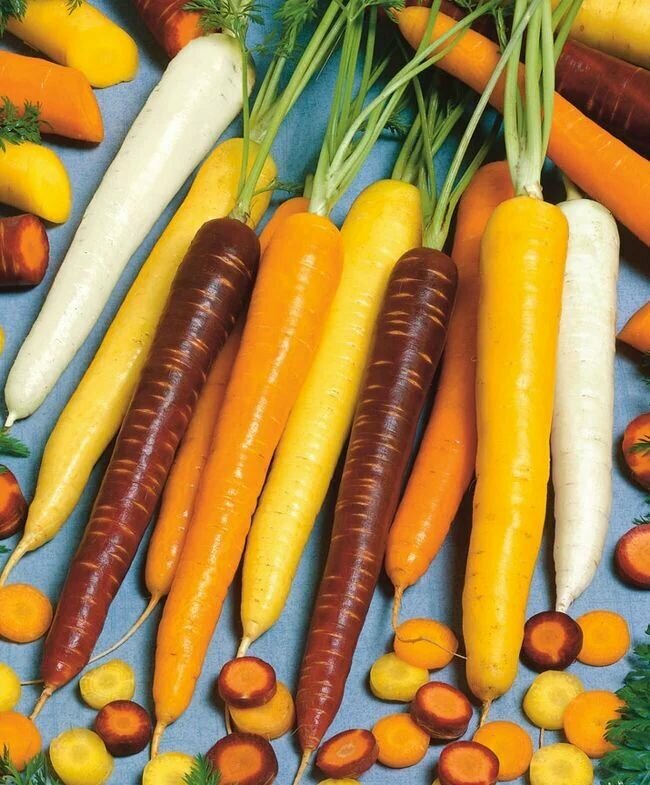 Коллекционные семена моркови Радуга-дуга F1