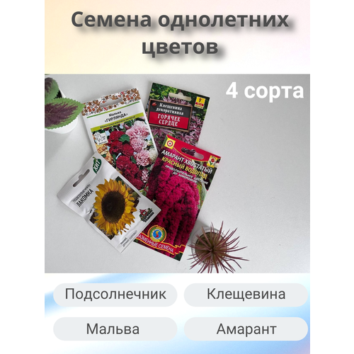 Набор однолетних семян "Семена цветов" Подсолнечник, Клещевина, Мальва, Амарант