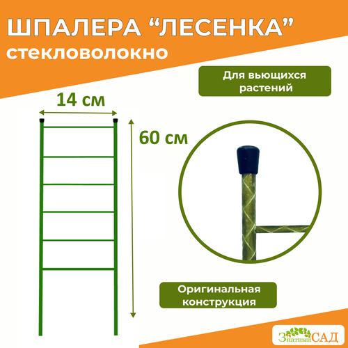 Шпалера для растений Лестница /«Знатный сад»/ высота 60 см/ стекловолокно/ 10 штук