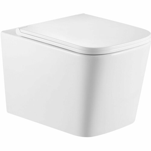 Унитаз подвесной toHit 525х345х360, безободковый, сиденье с микролифтом, бесшумный , белый TP092303