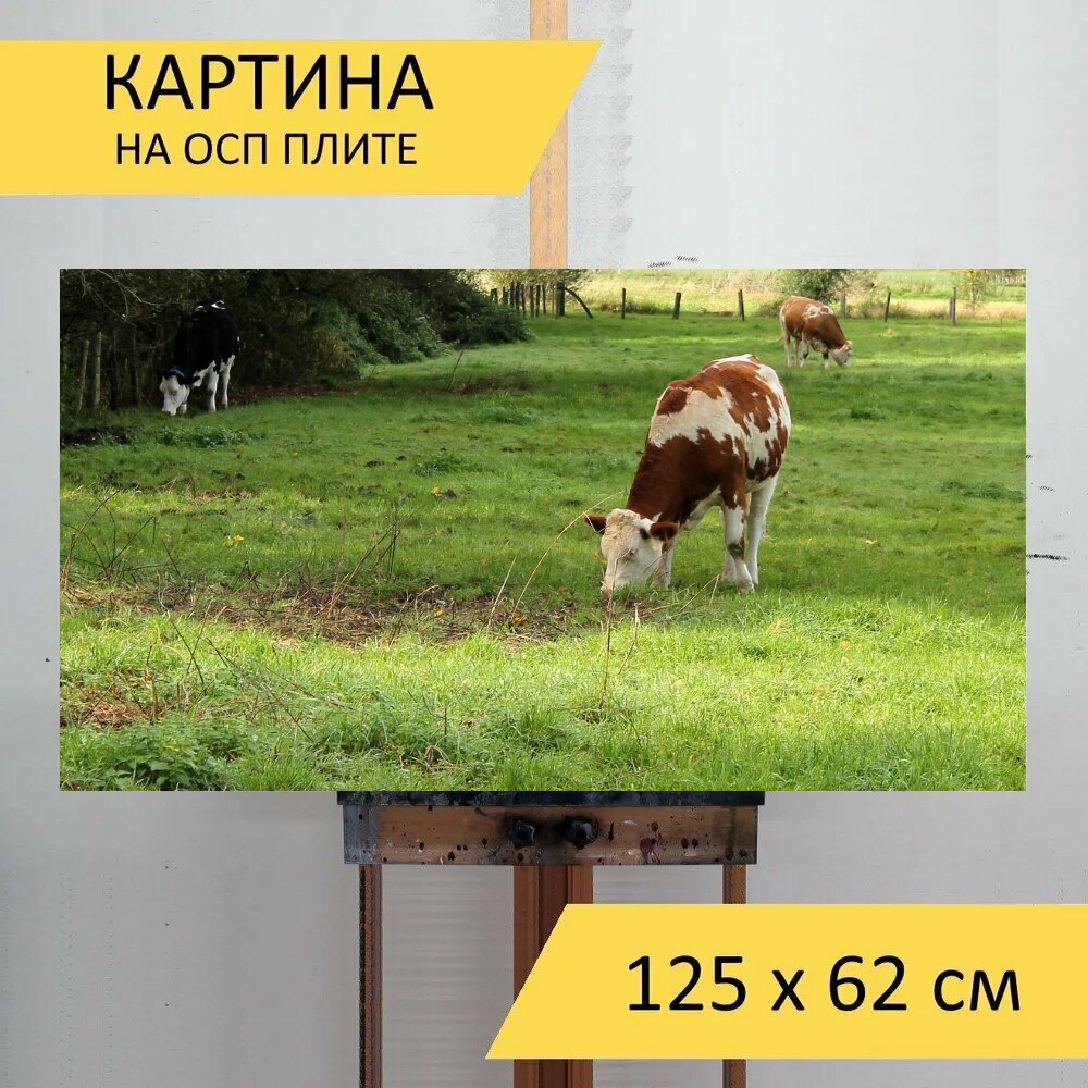 Картина на ОСП "Корова, коровы, пастбище" 125x62 см. для интерьера на стену