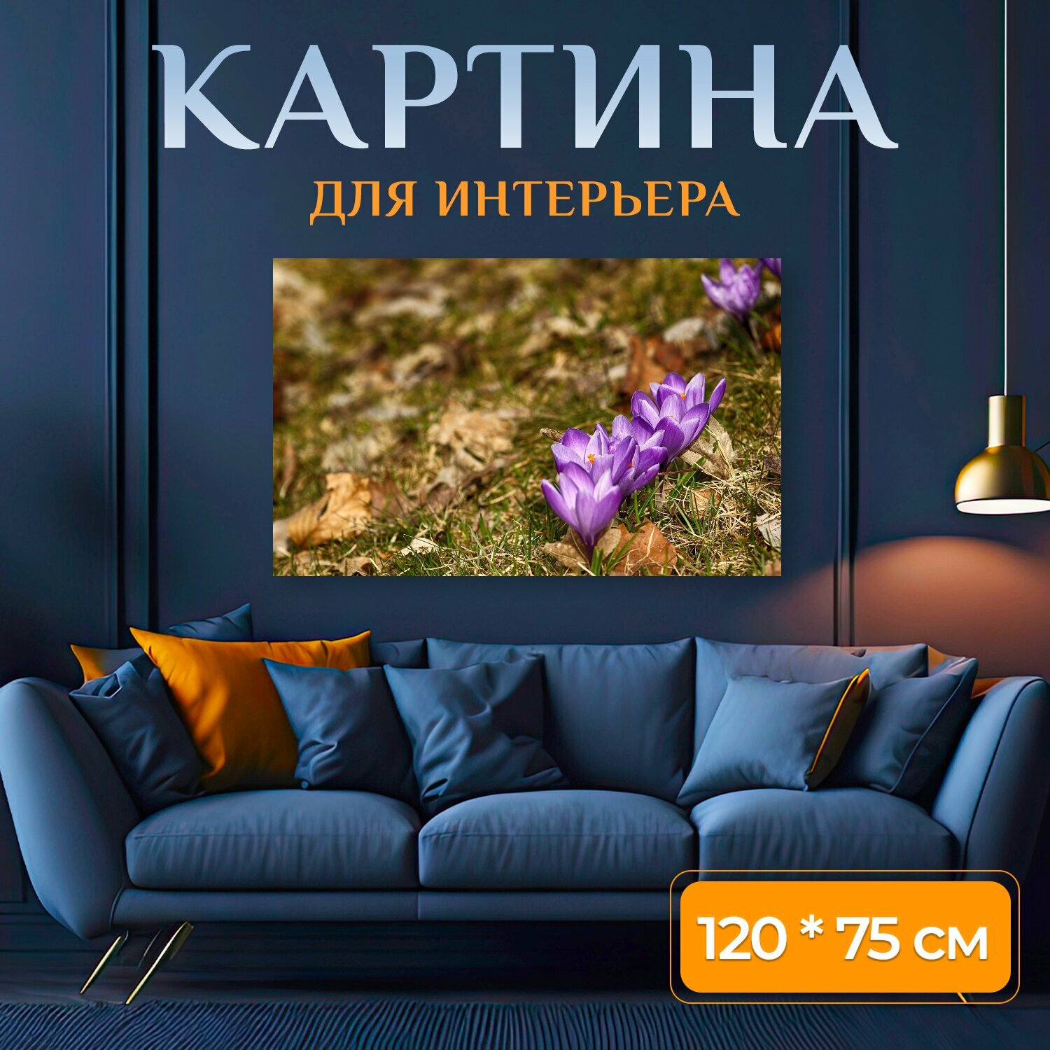 Картина на холсте "Крокус, цветы, цвести" на подрамнике 120х75 см. для интерьера