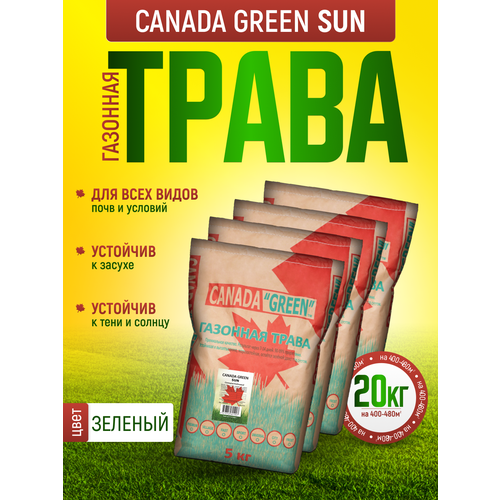 газонная трава семена 5 кг газон канада грин eco на 1 1 2 сотки Газонная трава семена Солнцеустойчивый 20кг Sun
