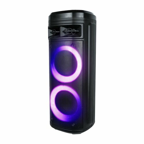 Музыкальный центр TELEFUNKEN TF-MS3302B черный 1239000₽