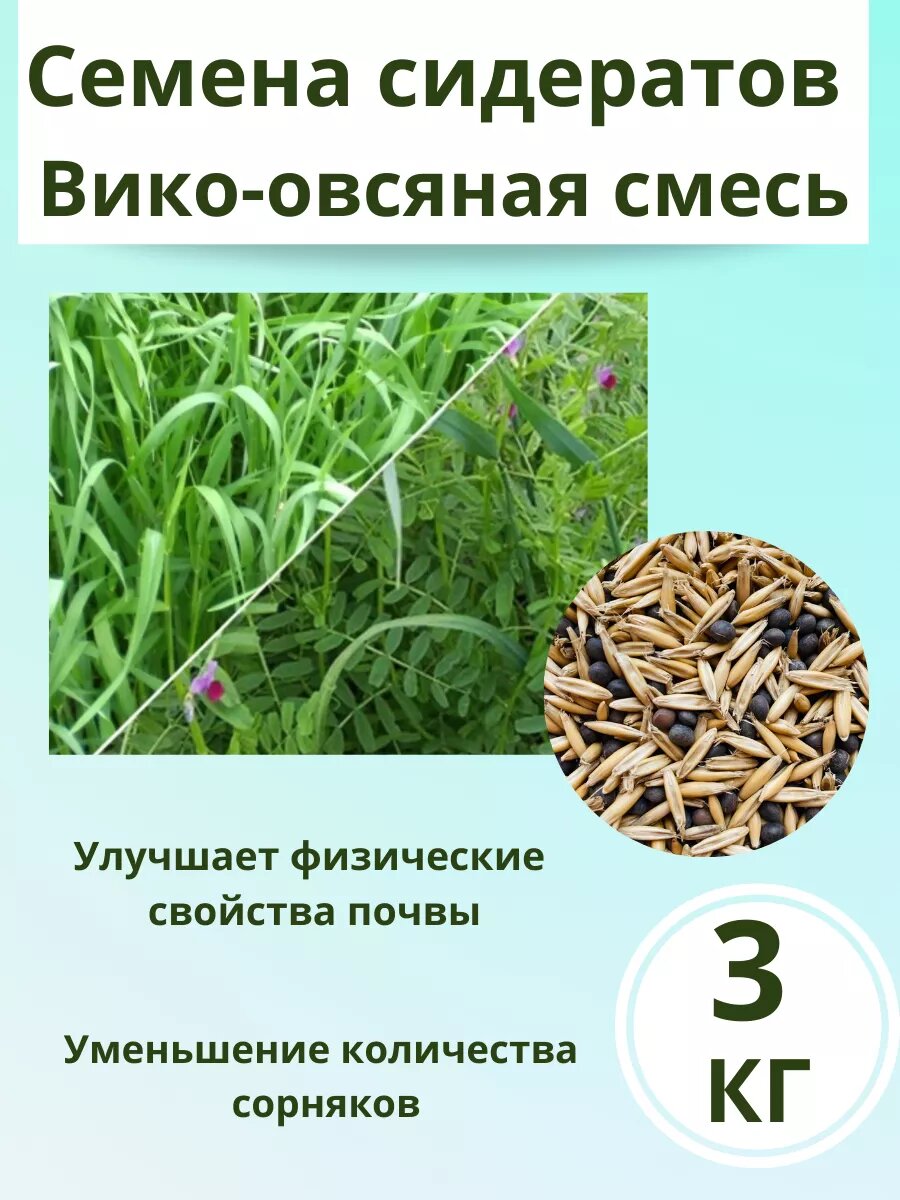 Семена сидерат Вико овсяная 3 кг