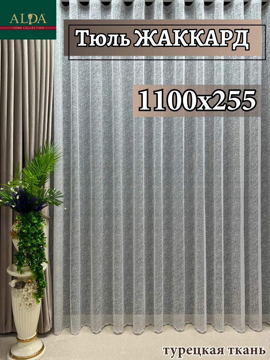 3531_мол_1100х255